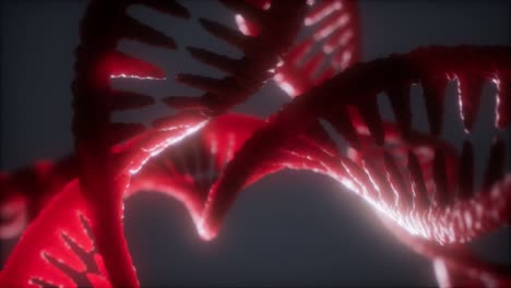Loop-Doppelhelixstruktur-Der-DNA-Strang-Nahaufnahme-Animation
